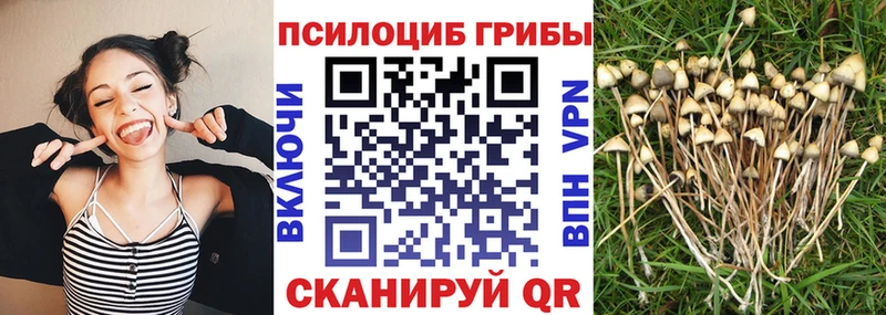 где можно купить наркотик мега онион Галлюциногенные грибы прущие грибы Улан-Удэ