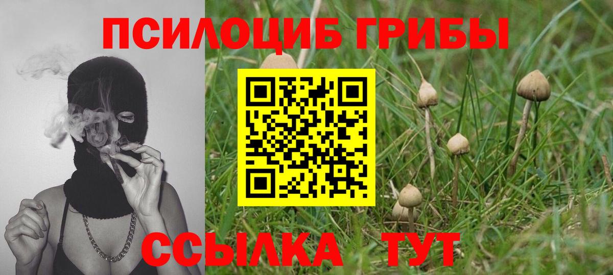 Улан-Удэ  Псилоцибиновые грибы ЛСД  Псилоцибиновые грибы мухоморы  Вход с VPN 